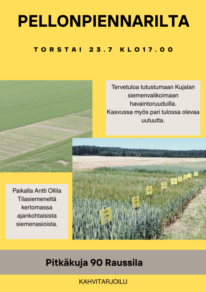 Pellonpiennar Tapahtuma